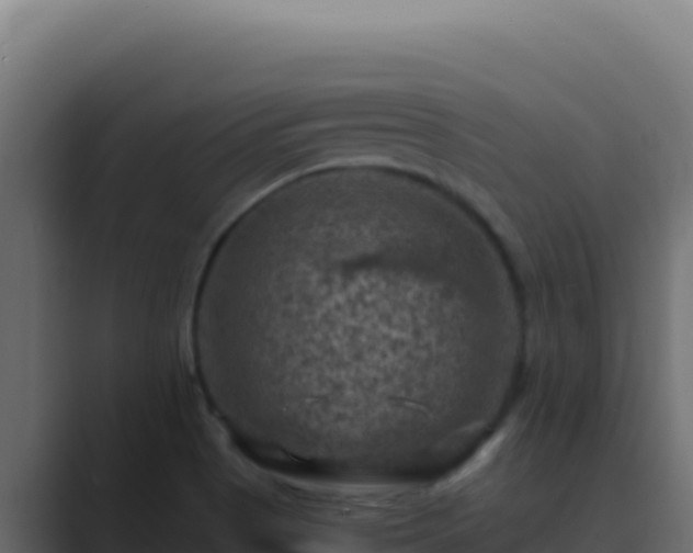 X0000089691513200706281406