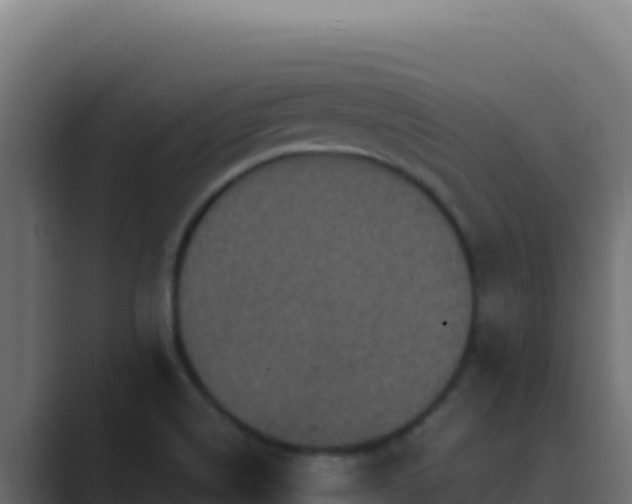 X0000089691514200706281406