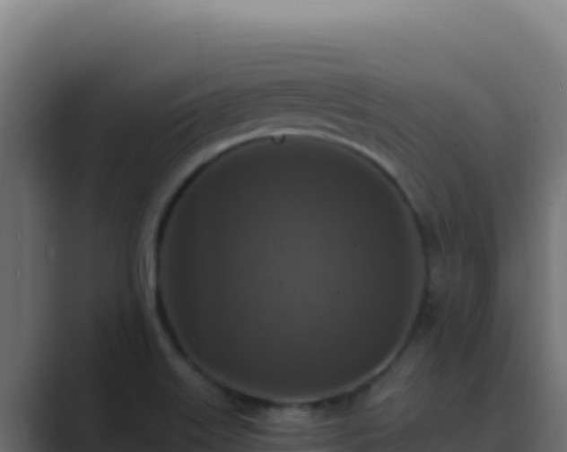 X0000089691515200706281406