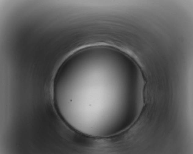 X0000089691516200706281406