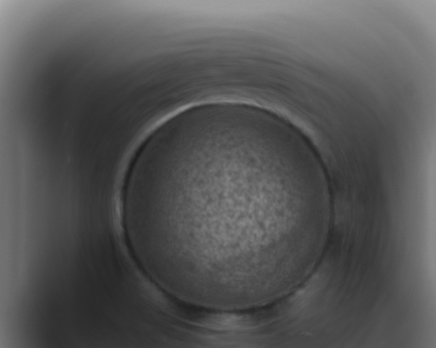 X0000089691517200706281406