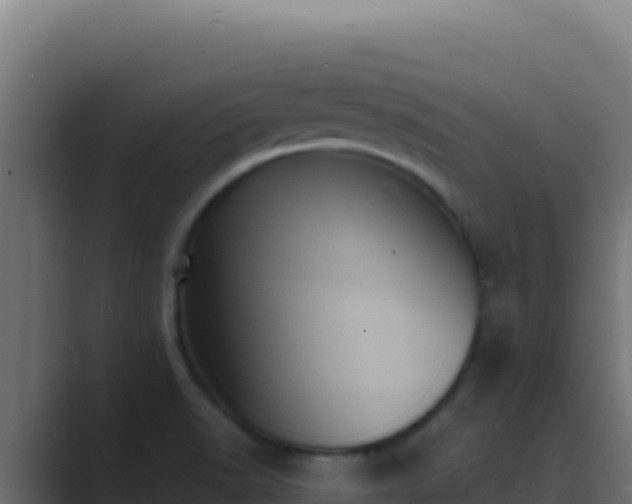 X0000089691518200706281406