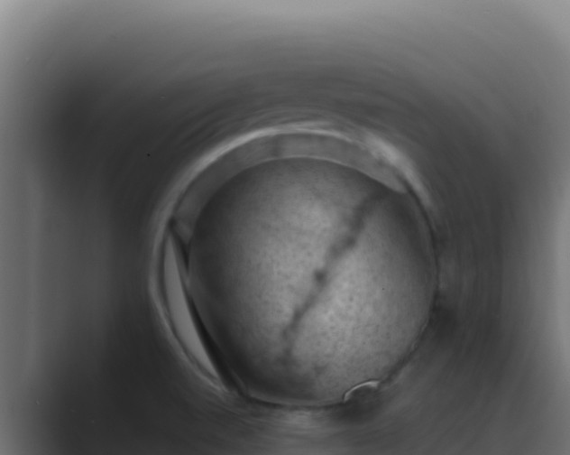 X0000089691520200706281406