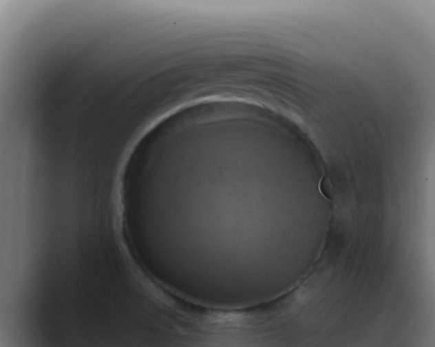 X0000089691522200706281406