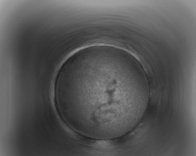 X0000089691523200706281406