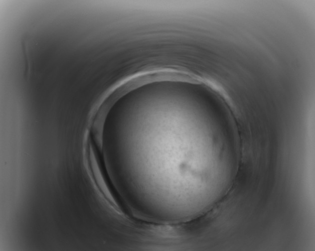 X0000089691524200706281406