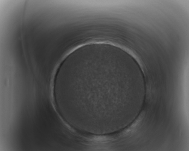 X0000089691525200706281406