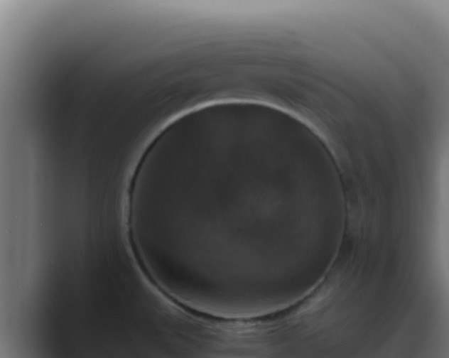 X0000089691527200706281406