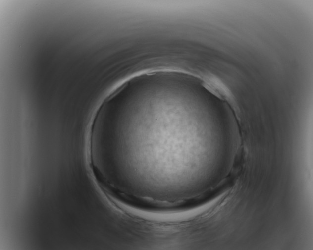 X0000089691528200706281406