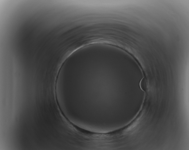 X0000089691529200706281407