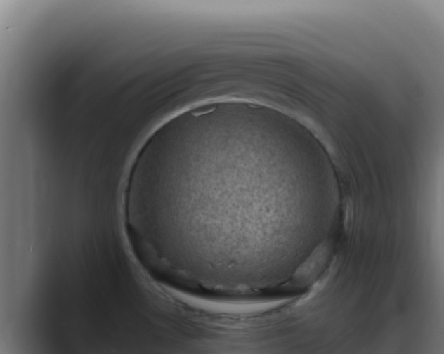 X0000089691530200706281407