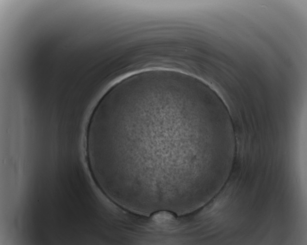 X0000089691531200706281407