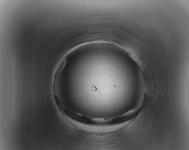 X0000089691532200706281407