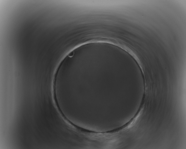 X0000089691533200706281407