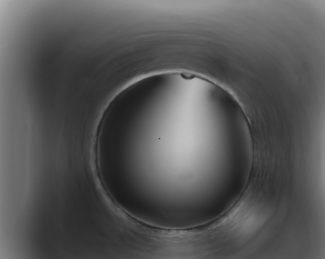 X0000089691534200706281407