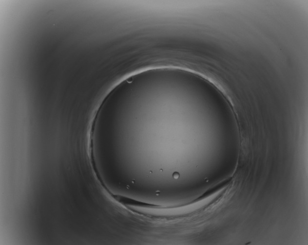 X0000089691535200706281407