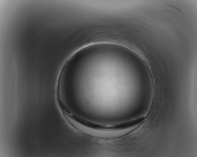 X0000089691536200706281407