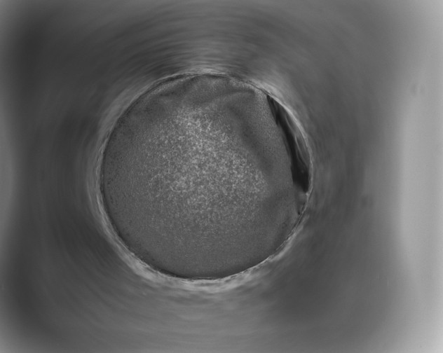 X0000089690001200707051634