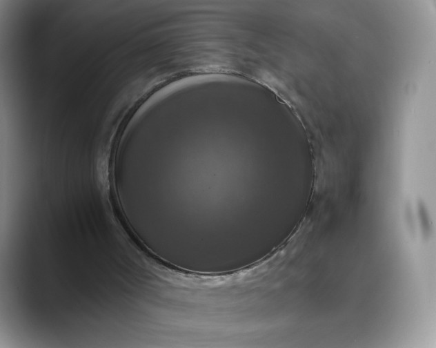 X0000089690002200707051634