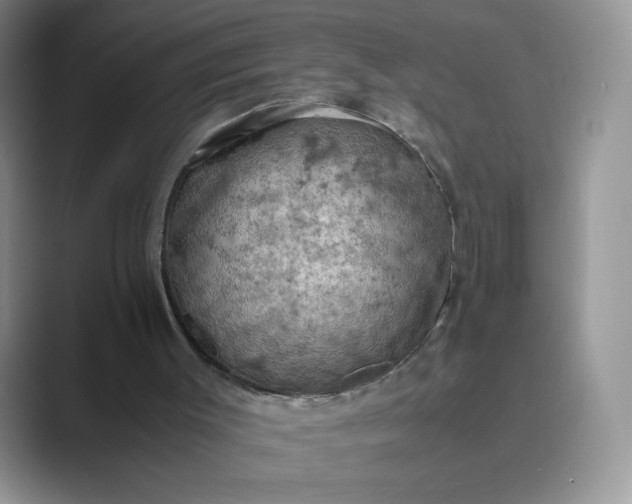 X0000089690003200707051634