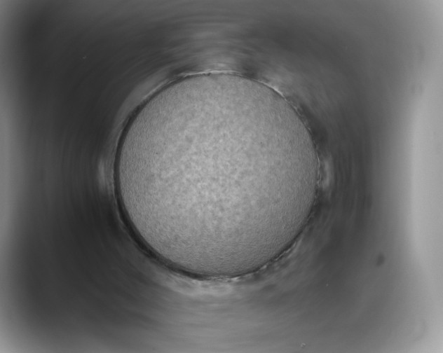 X0000089690004200707051634