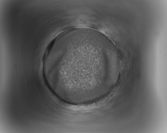 X0000089690005200707051634