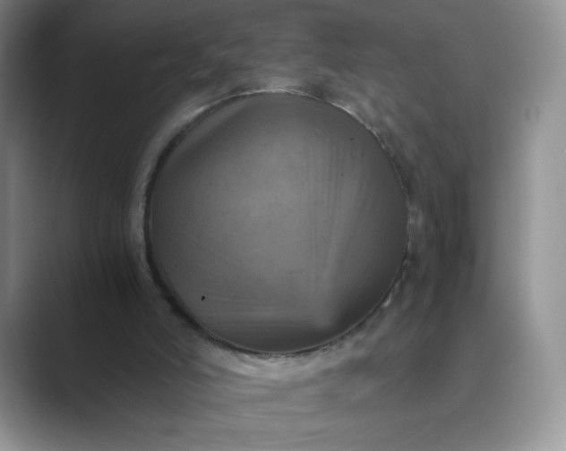 X0000089690006200707051634