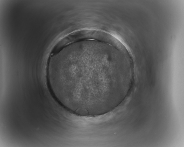 X0000089690007200707051634