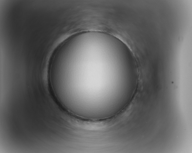 X0000089690008200707051634