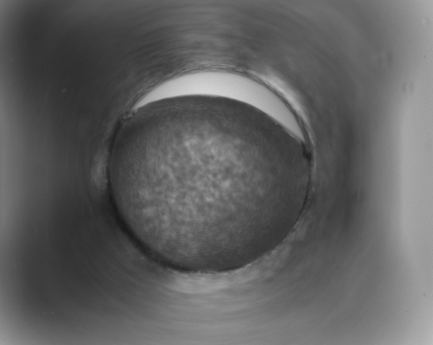 X0000089690009200707051634