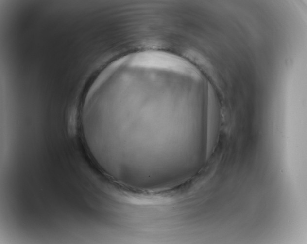 X0000089690012200707051634