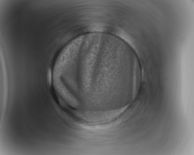 X0000089690013200707051634