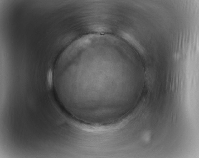 X0000089690014200707051634