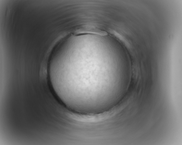 X0000089690015200707051634