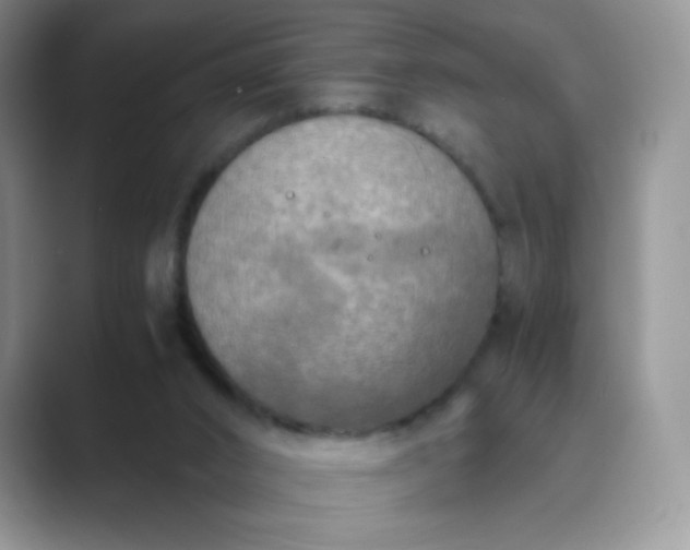 X0000089690016200707051634