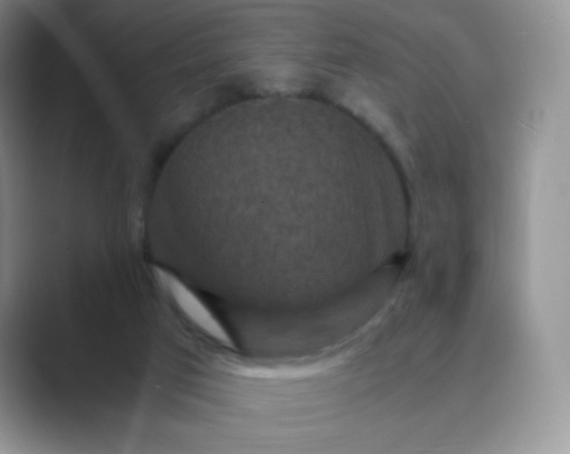 X0000089690017200707051633