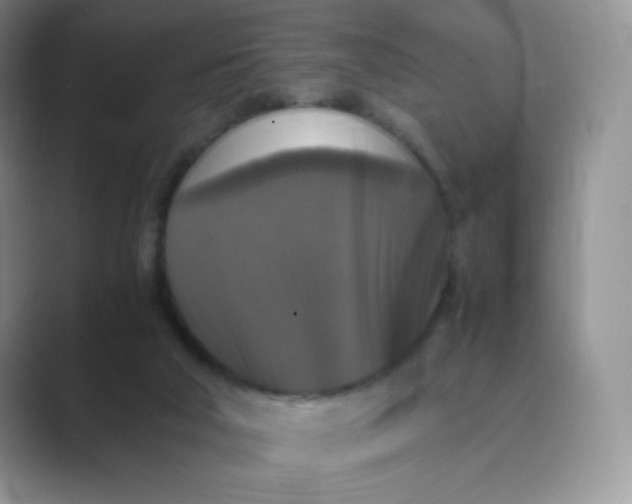 X0000089690018200707051633