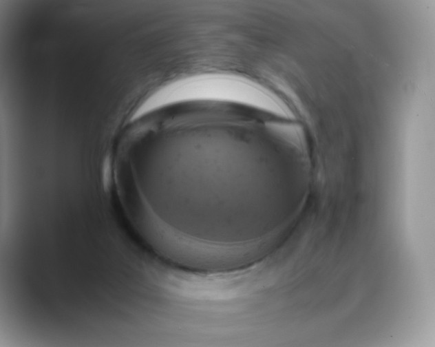 X0000089690019200707051633