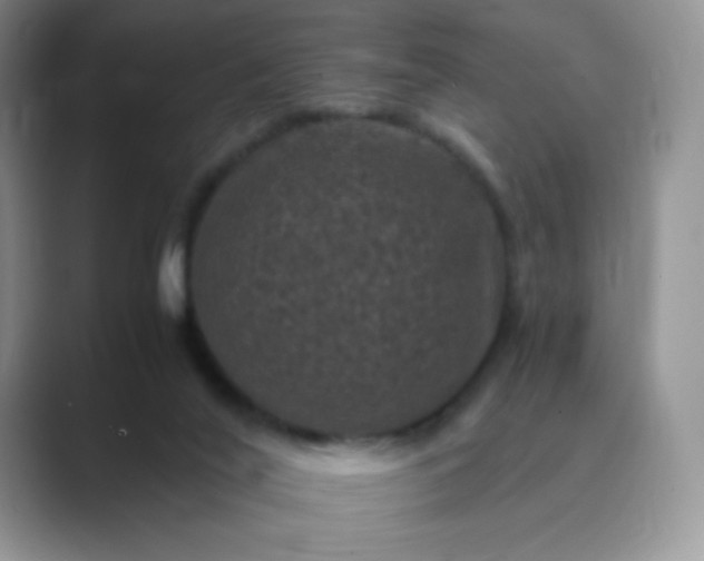 X0000089690020200707051633