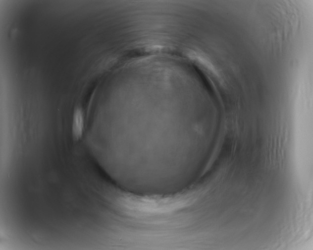 X0000089690022200707051633