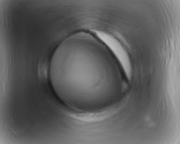 X0000089690023200707051633