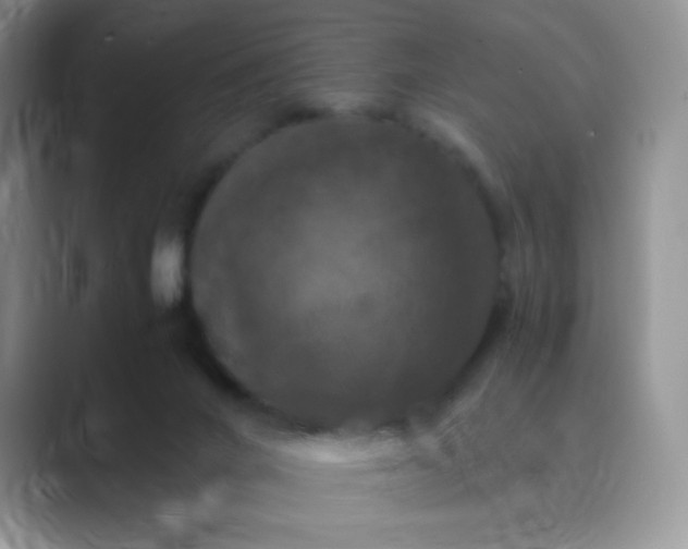 X0000089690024200707051633