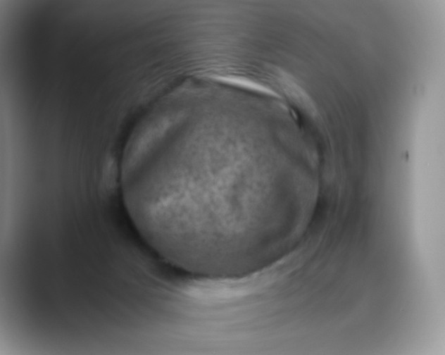 X0000089690025200707051633