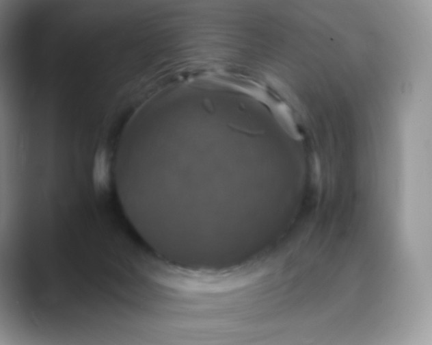 X0000089690026200707051633