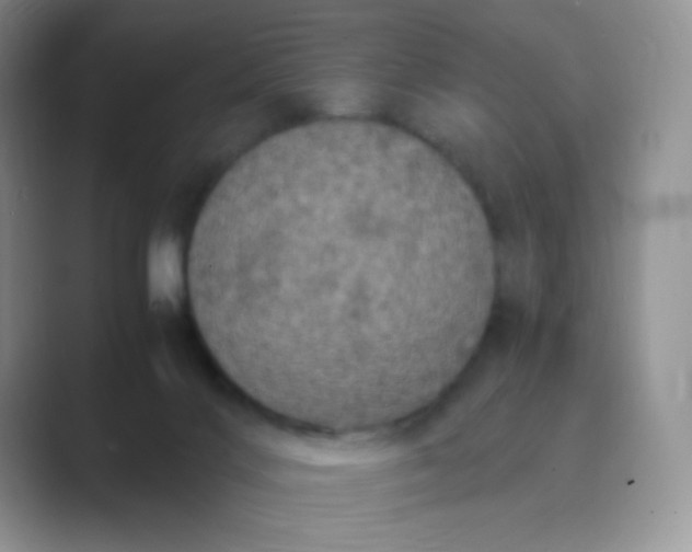 X0000089690028200707051633