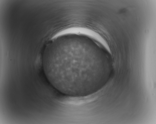 X0000089690029200707051633