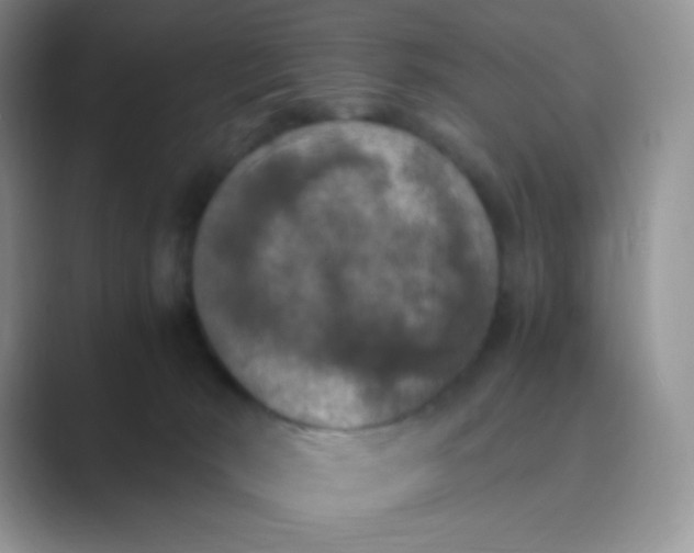 X0000089690030200707051633