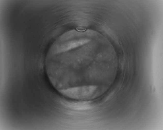 X0000089690032200707051633