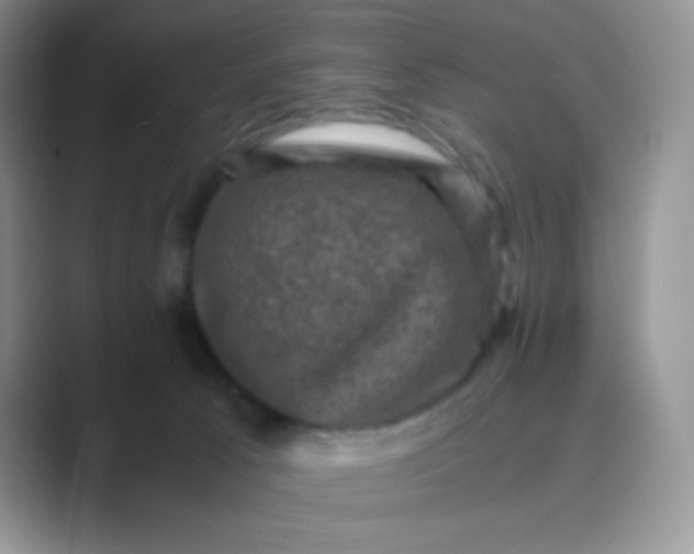 X0000089690033200707051633