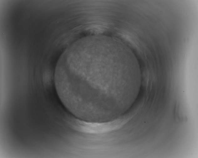 X0000089690034200707051633